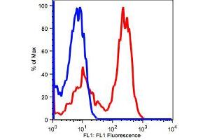 Image no. 2 for anti-CD3 (CD3) antibody (ABIN2704232) (CD3 antibody)