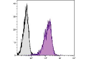 BALB/c mouse splenocytes were stained with Rat Anti-Mouse CD102-PE. (ICAM2 antibody  (Biotin))