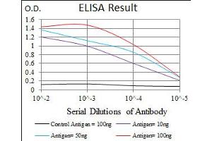 Image no. 2 for anti-Lipoprotein (Lp(a)) antibody (ABIN1491517) (Lp(a) antibody)