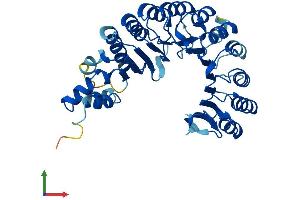 AlphaFold protein structure predicition of Human Recombinant FBXL8 Protein, UniprotID Q96CD0