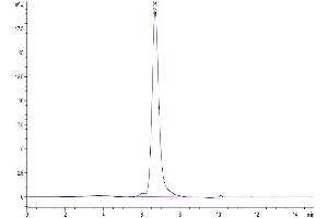 Size-exclusion chromatography-High Pressure Liquid Chromatography (SEC-HPLC) image for CD70 Molecule (CD70) (Trimer) protein (His tag,Biotin) (ABIN7274323)