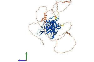 AlphaFold protein structure predicition of Human Recombinant BIVM Protein, UniprotID Q86UB2 (BIVM Protein (AA 1-503) (His tag))