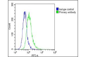 Overlay histogram showing A549 cells stained with (ABIN6242220 and ABIN6578794)(green line). (Thrombomodulin antibody  (AA 92-126))