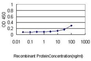 Detection limit for recombinant GST tagged AKR7A2 is approximately 1ng/ml as a capture antibody. (AKR7A2 antibody  (AA 1-330))