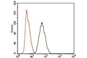 Flow cytometric analysis of HeLa cells using PIWIL4 mouse mAb (green) and negative control (purple). (PIWIL4 antibody  (AA 304-434))