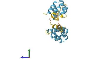 Protein Structure (PS) image for Fas (TNFRSF6)-Associated Via Death Domain (FADD) (AA 1-205) protein (His tag) (ABIN7557674)