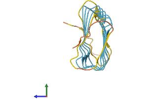AlphaFold protein structure predicition of Human Recombinant KRTAP12-2 Protein, UniprotID P59991 (KRTAP12-2 Protein (AA 1-146) (His tag))