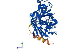 AlphaFold protein structure predicition of Human Recombinant FAHD2B Protein, UniprotID Q6P2I3