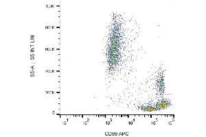 Surface staining of human peripheral blood cells with anti-human CD99 (3B2/TA8) APC. (CD99 antibody  (APC))