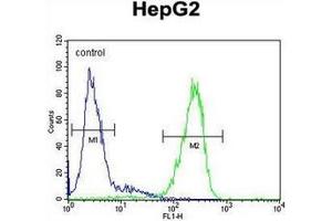 Flow cytometric analysis of HepG2 cells using TMEM112B / TMEM153 Antibody (C-term) Cat. (LMF2 antibody  (C-Term))