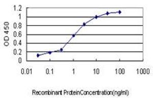 Detection limit for recombinant GST tagged PSMB2 is approximately 0. (PSMB2 antibody  (AA 1-201))