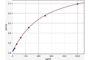 HMMR ELISA Kit