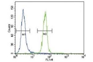 Flow Cytometry (FACS) image for anti-FYN Oncogene Related To SRC, FGR, YES (FYN) (AA 13-43) antibody (ABIN3031009)