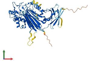 Protein Structure (PS) image for Inositol Polyphosphate-5-Phosphatase K (INPP5K) (AA 1-448) protein (His tag) (ABIN7548502)