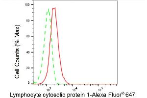 Flow cytometric analysis of Lymphocyte cytosolic protein 1 expression in HT- cells using Lymphocyte cytosolic protein 1 antibody (ABIN7799292), 1:2,000).