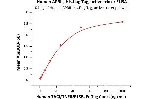 Tumor Necrosis Factor (Ligand) Superfamily, Member 13 (TNFSF13) (AA 111-250) (Active) protein (His tag,DYKDDDDK Tag)