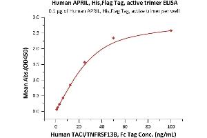 Immobilized Human APRIL, His,Flag Tag, active trimer (ABIN6972945) at 1 μg/mL (100 μL/well) can bind Human TACI/TNFRSF13B, Fc Tag (ABIN5674644,ABIN6253675) with a linear range of 0. (TNFSF13 Protein (AA 111-250) (His tag,DYKDDDDK Tag))