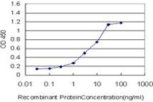 Detection limit for recombinant GST tagged STAT5B is approximately 0. (STAT5B antibody  (AA 1-390))