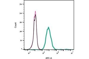 Direct flow cytometry of α-Conotoxin GI in live intact human AC16 cells. (alpha-conotoxin GI peptide (Atto 647N))