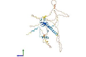 Protein Structure (PS) image for WW Domain Containing Transcription Regulator 1 (WWTR1) (AA 1-400) protein (His tag) (ABIN7556023)