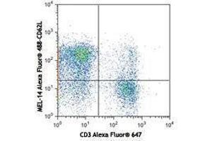 Flow Cytometry (FACS) image for anti-Selectin L (SELL) antibody (Alexa Fluor 488) (ABIN2657465) (L-Selectin antibody  (Alexa Fluor 488))