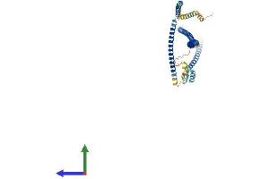 Protein Structure (PS) image for Centrosomal Protein 55kDa (CEP55) (AA 1-462) protein (His tag) (ABIN7558865)