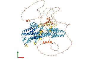 Protein Structure (PS) image for Putative Homeodomain Transcription Factor 1 (PHTF1) (AA 1-762) protein (His tag) (ABIN7550732)