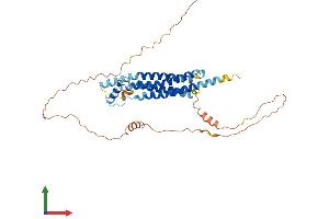 AlphaFold protein structure predicition of Mouse Recombinant Marveld3 Protein, UniprotID Q9D956