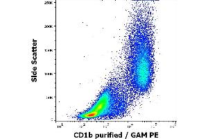 Flow cytometry surface staining pattern of human stimulated (GM-CSF + IL-4) peripheral blood mononuclear cells stained using anti-human CD1b (SN13) purified antibody (concentration in sample 9 μg/mL, GAM PE). (CD1b antibody)