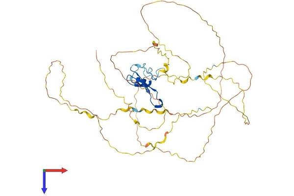 MECP2 Protein (AA 1-484) (His tag)
