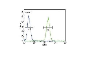 GIPR Antibody (Center) (ABIN391714 and ABIN2841605) flow cytometric analysis of MDA-M cells (right histogram) compared to a negative control (left histogram). (GIPR antibody  (N-Term))