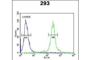TCERG1L Antibody (Center) (ABIN652828 and ABIN2842540) flow cytometric analysis of 293 cells (right histogram) compared to a negative control cell (left histogram). (TCERG1L antibody  (AA 392-421))