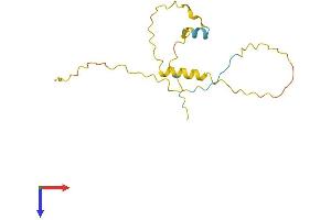 AlphaFold protein structure predicition of Mouse Recombinant Tsx Protein, UniprotID P70675 (Testis Specific X-Linked Gene (TSX) (AA 1-144) protein (His tag))