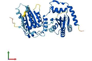 Protein Structure (PS) image for Apolipoprotein B mRNA Editing Enzyme, Catalytic Polypeptide-Like 3G (APOBEC3G) (AA 1-384) protein (His tag) (ABIN7551789)