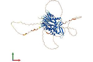 AlphaFold protein structure predicition of Mouse Recombinant Ppm1d Protein, UniprotID Q9QZ67 (PPM1D Protein (AA 1-598) (His tag))