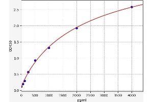 Typical standard curve (ADAM9 ELISA Kit)