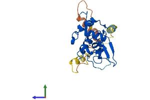 Protein Structure (PS) image for Sperm Acrosome Associated Protein 3 (SPACA3) (AA 1-221) protein (His tag) (ABIN7561195)