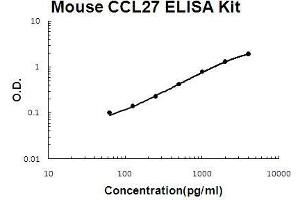 Mouse CCL27/CTACK PicoKine ELISA Kit standard curve (CCL27 ELISA Kit)