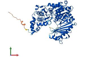 AlphaFold protein structure predicition of Human Recombinant PGM2L1 Protein, UniprotID Q6PCE3 (PGM2L1 Protein (AA 1-622) (His tag))