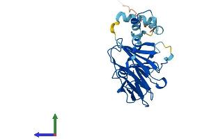 Protein Structure (PS) image for SplA/ryanodine Receptor Domain and SOCS Box Containing 2 (SPSB2) (AA 1-263) protein (His tag) (ABIN7546279)