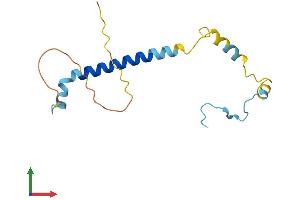 AlphaFold protein structure predicition of Mouse Recombinant Paip2b Protein, UniprotID Q91W45 (PAIP2B Protein (AA 1-136) (His tag))