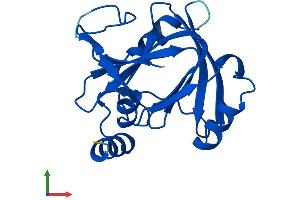 AlphaFold protein structure predicition of Human Recombinant ADI1 Protein, UniprotID Q9BV57 (ADI1 Protein (AA 1-179) (His tag))