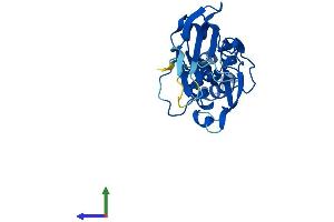 AlphaFold protein structure predicition of Mouse Recombinant Fbxo44 Protein, UniprotID Q8BK26