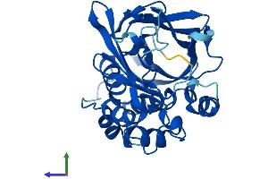 Protein Structure (PS) image for Solute Carrier Family 38 Member 4 (SLC38A4) (AA 1-290) protein (His tag) (ABIN7563358)