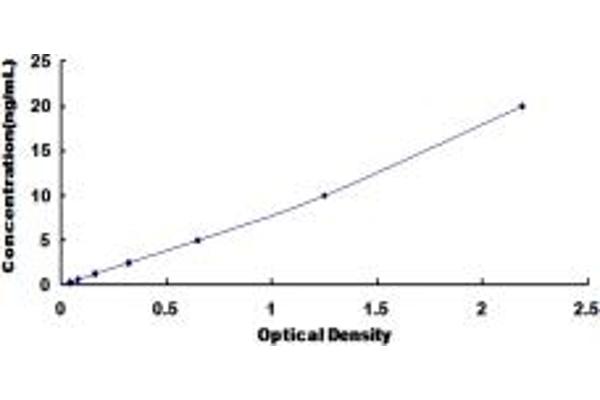 KDM4A ELISA Kit