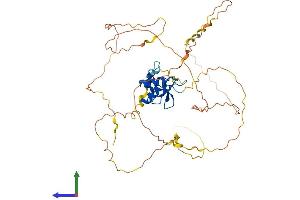 Protein Structure (PS) image for GATA Binding Protein 3 (GATA3) (AA 1-443) protein (His tag) (ABIN7547863)
