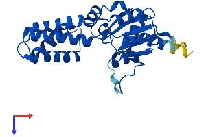 AlphaFold protein structure predicition of Mouse Recombinant Nanp Protein, UniprotID Q9CPT3 (NANP Protein (AA 1-248) (His tag))