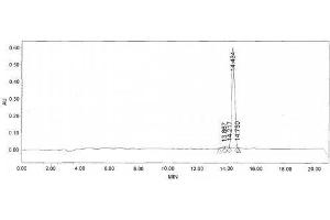 Image no. 1 for Myostatin (MSTN) peptide (Ovalbumin) (ABIN5666284) (Myostatin (MSTN) peptide (Ovalbumin))