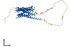 Protein Structure (PS) image for Dopamine Receptor D4 (DRD4) (AA 1-387) protein (His tag) (ABIN7563379)