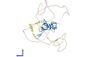 AlphaFold protein structure predicition of Human Recombinant COIL Protein, UniprotID P38432 (Coilin Protein (COIL) (AA 1-576) (His tag))